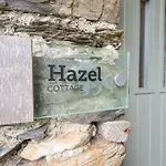 Hazel