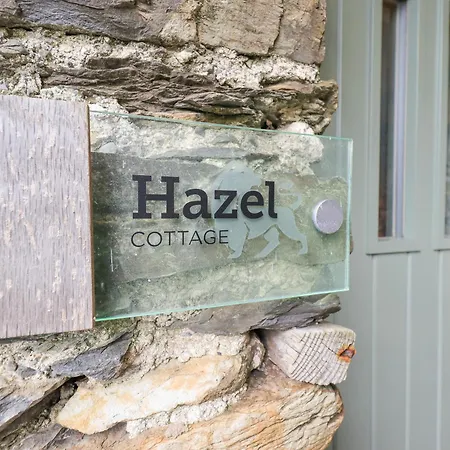 Hazel